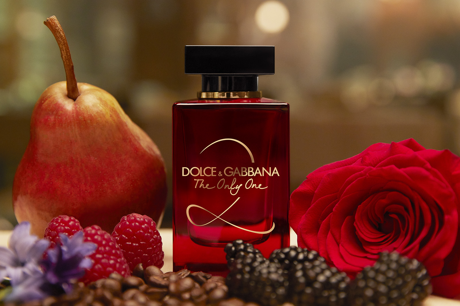 dolce and gabbana the one 2